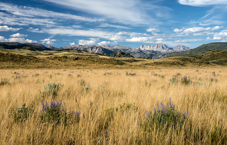 Wyomings Wind River Range Photograph by Matt Hammerstein
