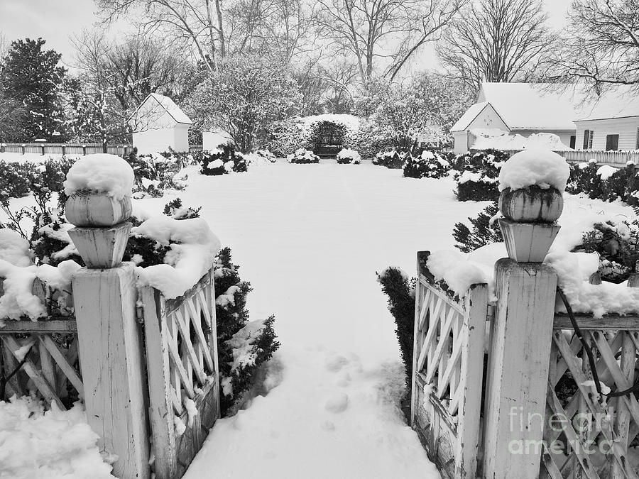 Wythe House Garden Under Snow Photograph by Rachel Morrison