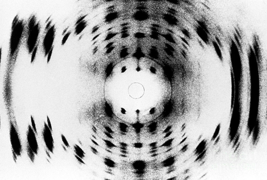 X-ray Diffraction Photograph - X-ray Diffraction Image Of Dna by Science Source