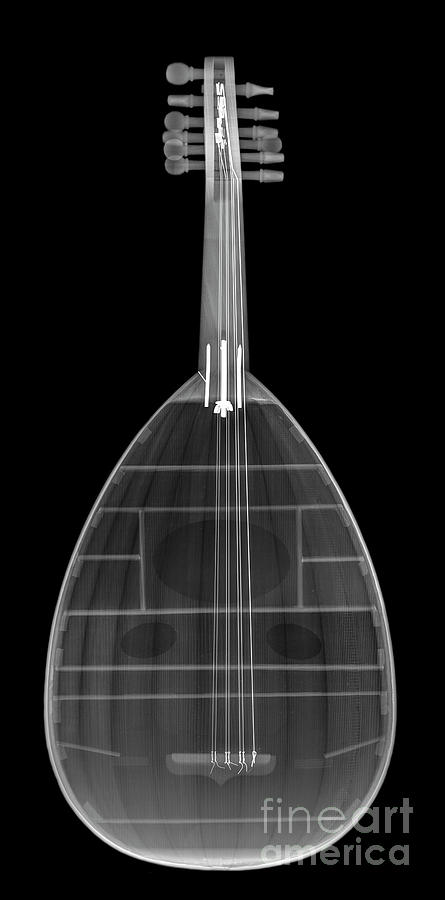 Music Photograph - X-ray of an Oud by Guy Viner