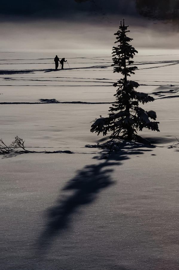 XC Skier on Bow Lake Photograph by Joe Kopp