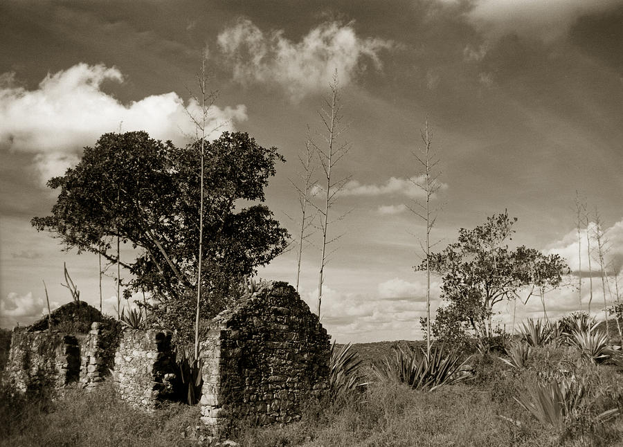 Xique Xique de Igatu Photograph by Amarildo Correa