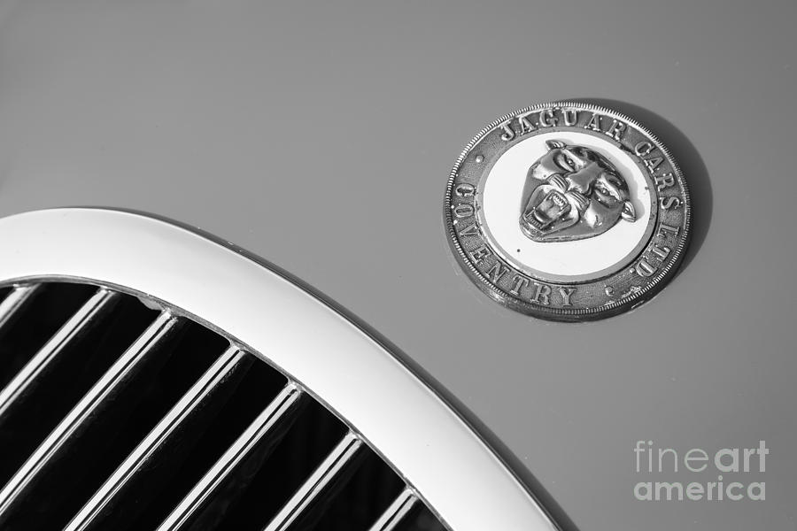 Xk 120 Badge and Grill Photograph by Dennis Hedberg