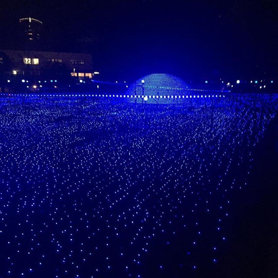 Xmas Illumination At Roppongi In Photograph by Michiyuki Yamazaki
