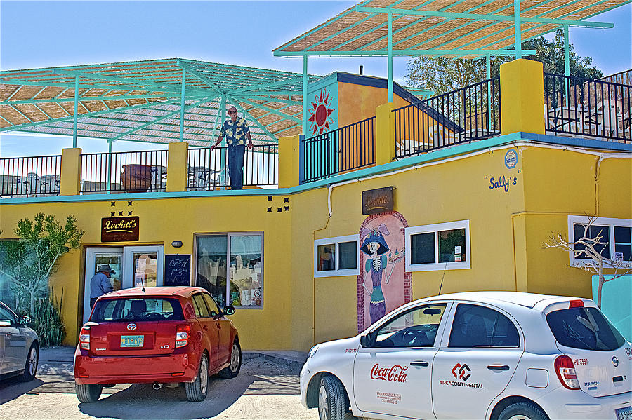 Xochitls in La Cholla in Sonora-Mexico    Photograph by Ruth Hager