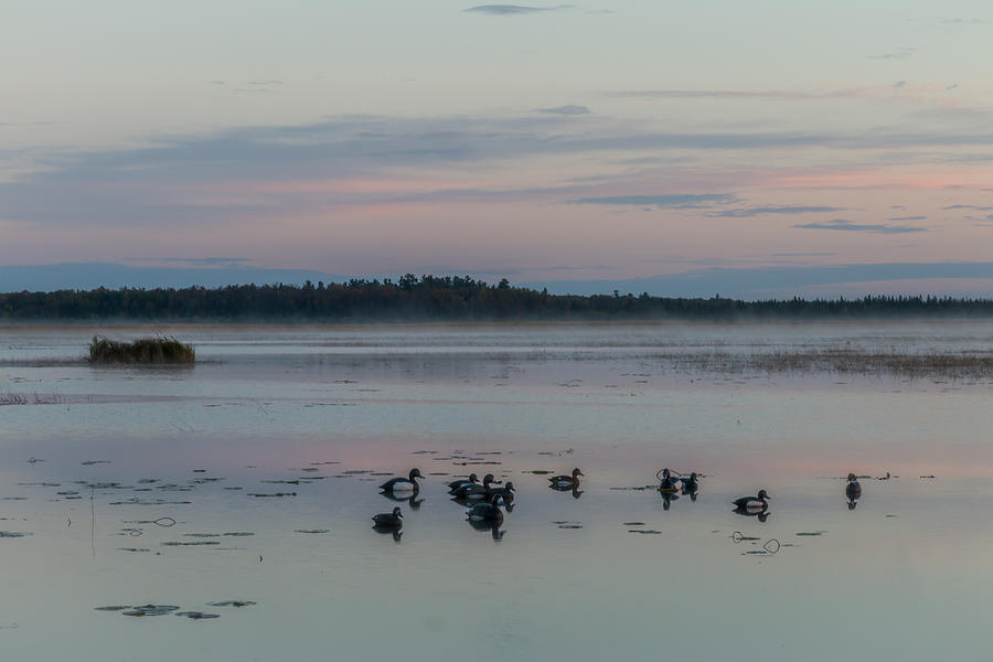 Pastel Morning Photograph by Patti Deters - Fine Art America