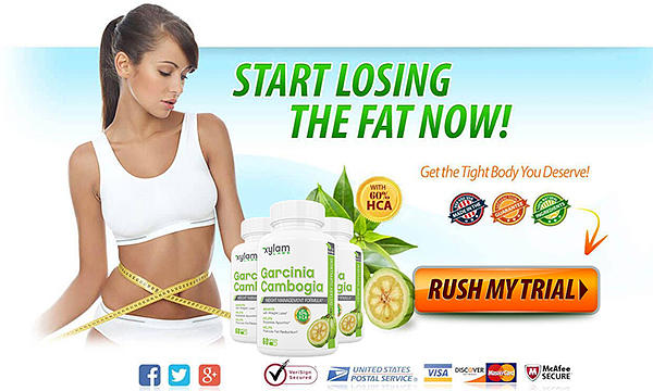 Xylam Labs Garcinia cambogia Photograph by Xylam Labs Garcinia cambogia