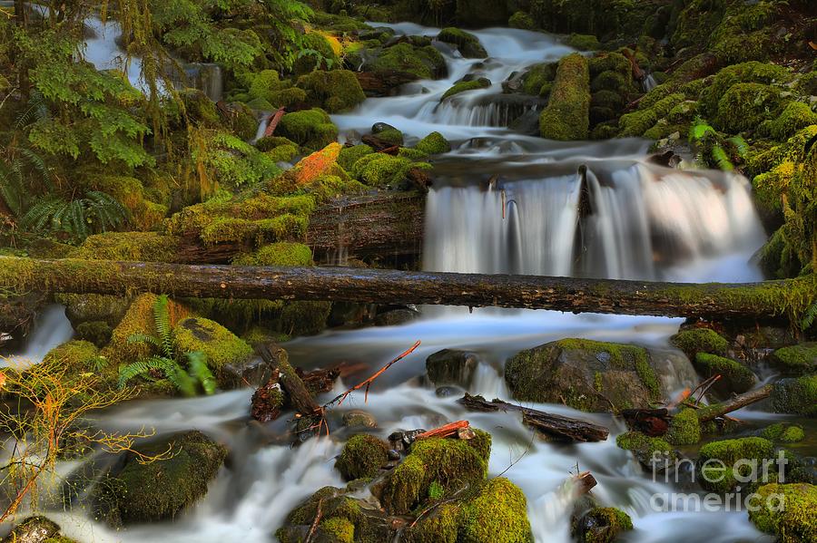 Sol Duc Streams Photograph by Adam Jewell