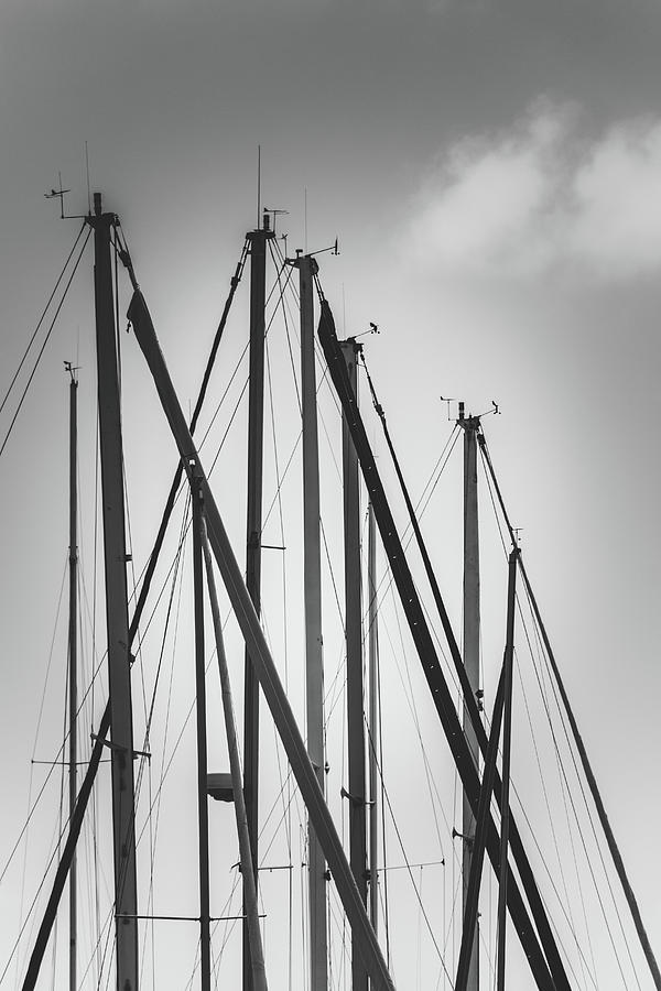 Yacht Masts Photograph