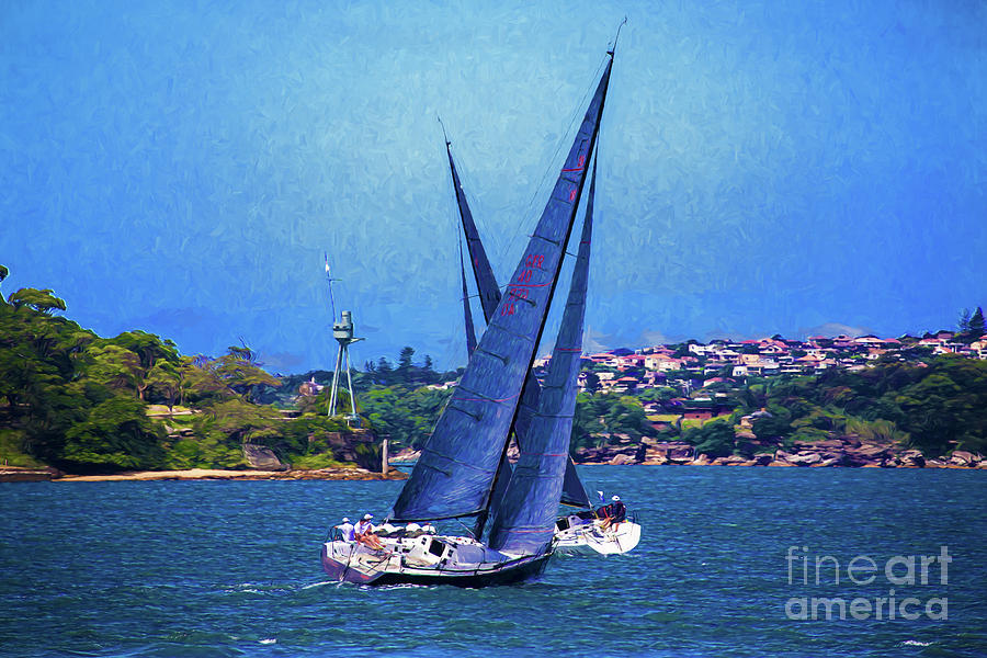 Yacht race on Sydney Harbour Photograph by Sheila Smart Fine Art Photography
