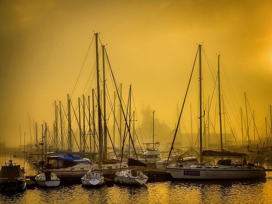 Yachts at sunrise Photograph by Alistair Lyne