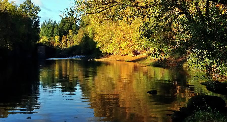 Yamhill River Reflections  5811 40x20 Photograph by Jerry Sodorff