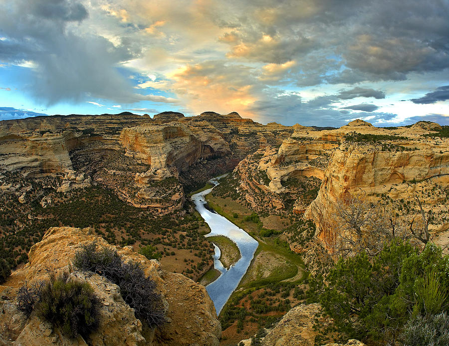 Yampa River Dinosaur National Monument Photograph by Tim Fitzharris