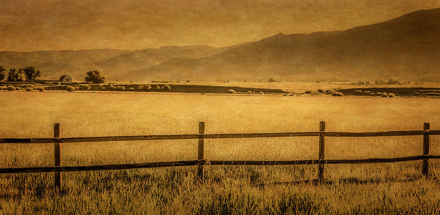 Yampa Valley Pasture Photograph by Don Schwartz