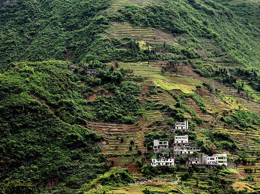 Yangtze Hillside Photograph by Joe Bonita