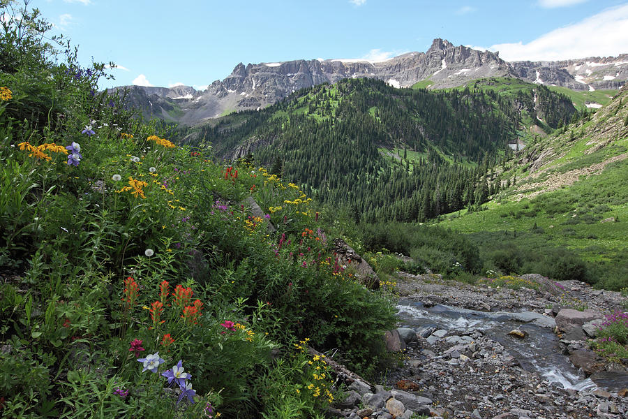 Yankee Boy Basin2 by Susan Rovira Yankee Boy Basin2 by Susan Rovira