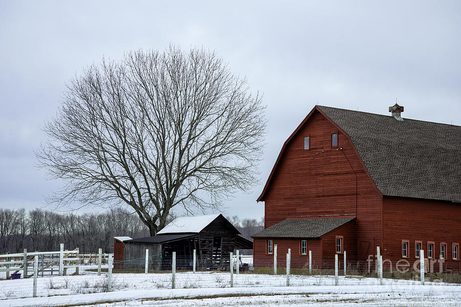 Yankee Farmlands No 25 - Snowy Barnyard in New England Photograph by JG Coleman