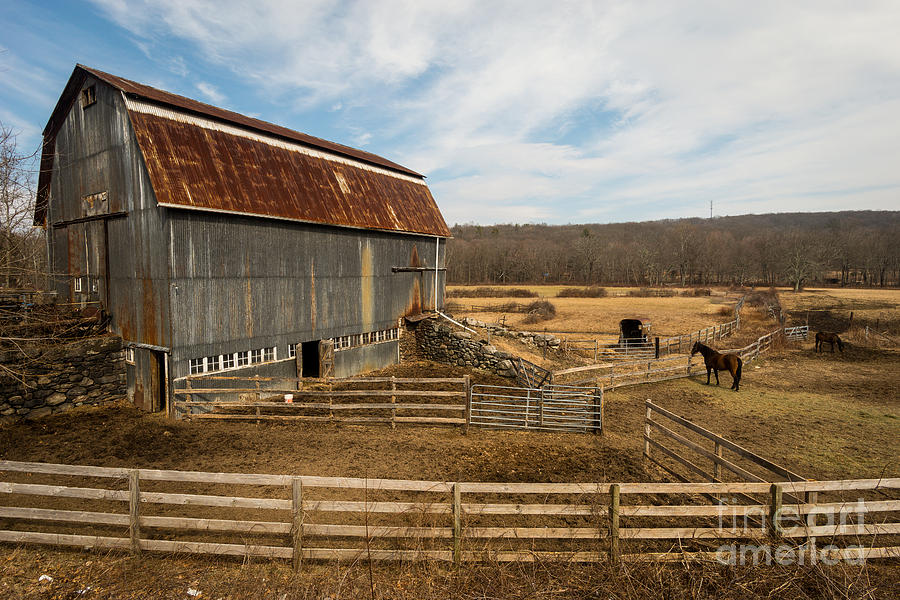 Yankee Farmlands No. 56 - Horse Farm in New England Photograph by JG Coleman