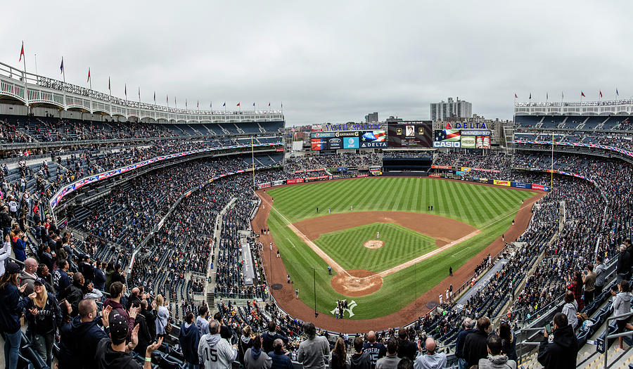 Yankee Stadium and Field  Photograph by John McGraw