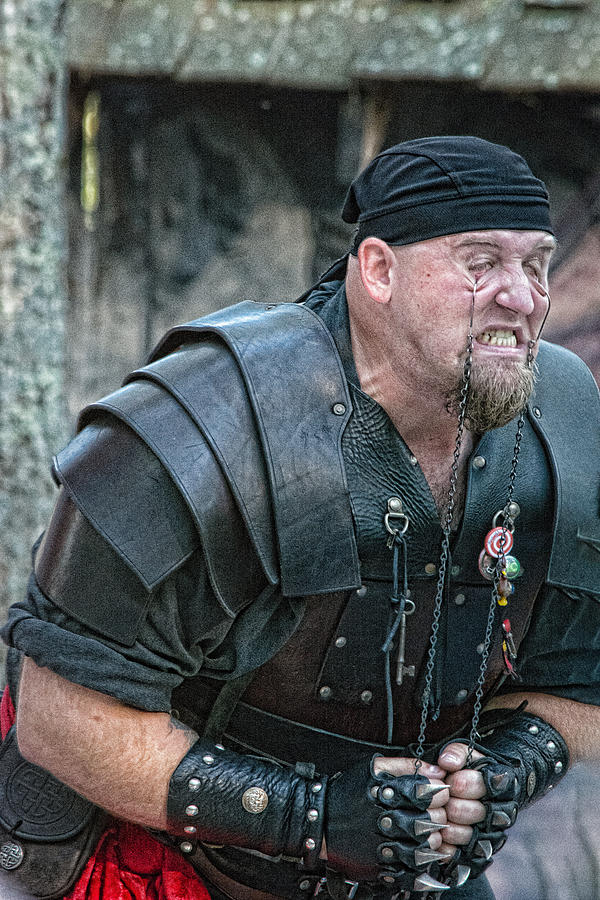 Yanking the Chains Photograph by Black Brook Photography Fine Art America