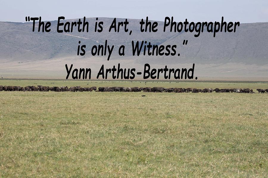 Yann Arthus-Bertrand Quote Photograph by Tony Murtagh