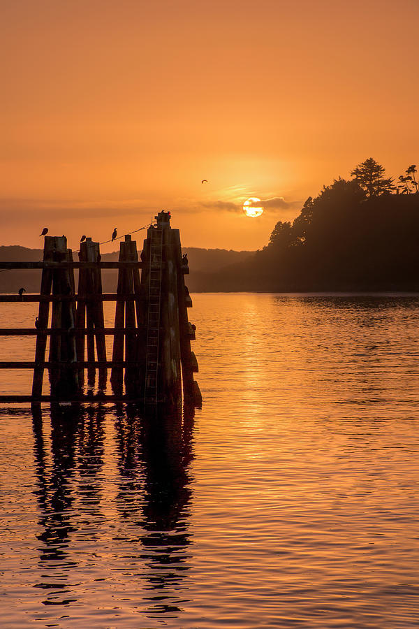 Yaquina Bay Sunset - Vertical II Photograph by Kristina Rinell