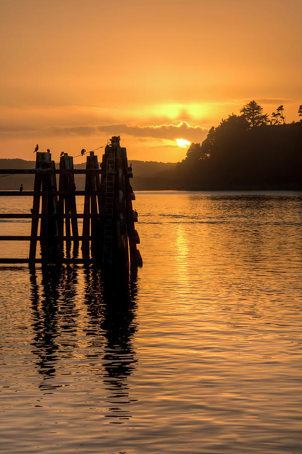 Yaquina Bay Sunset - vertical Photograph by Kristina Rinell