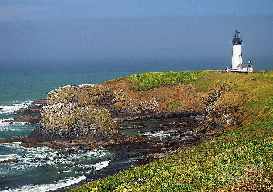 Yaquina Head Lighthouse and Bay Photograph by Rich Walter