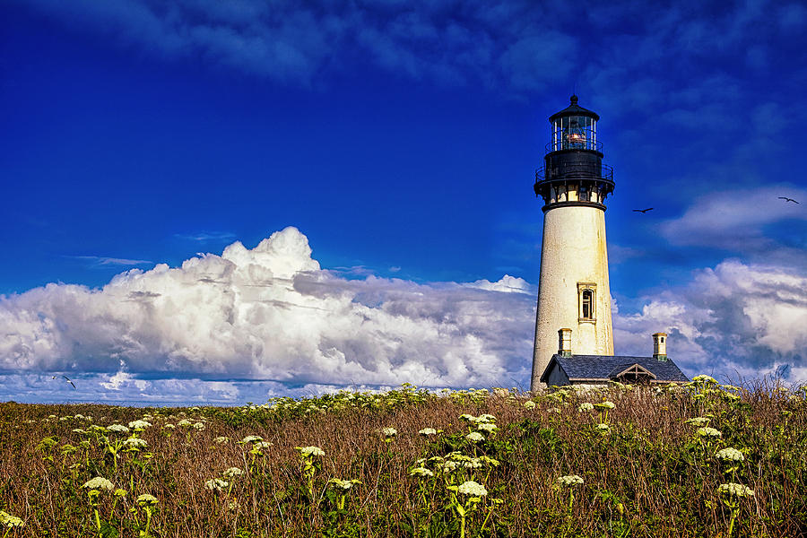 Yaquina Head Lighthouse Photograph by Andrew Soundarajan