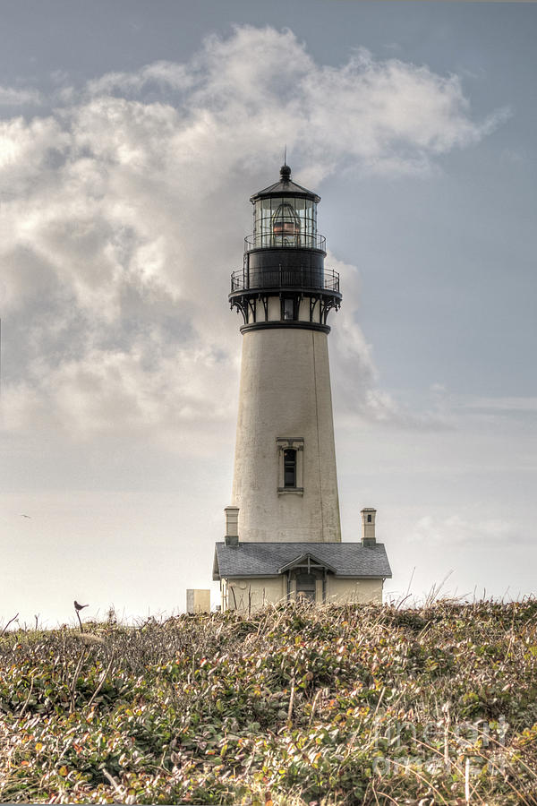 Yaquina Head Lighthouse Photograph by Craig Leaper
