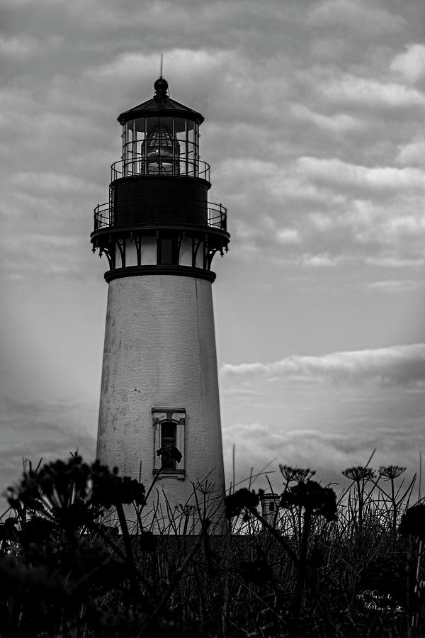 Seagull Photograph - Yaquina Head Lighthouse by David Millenheft