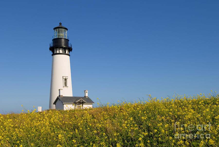 Yaquina Head Lighthouse Photograph by Greg Vaughn - Printscapes