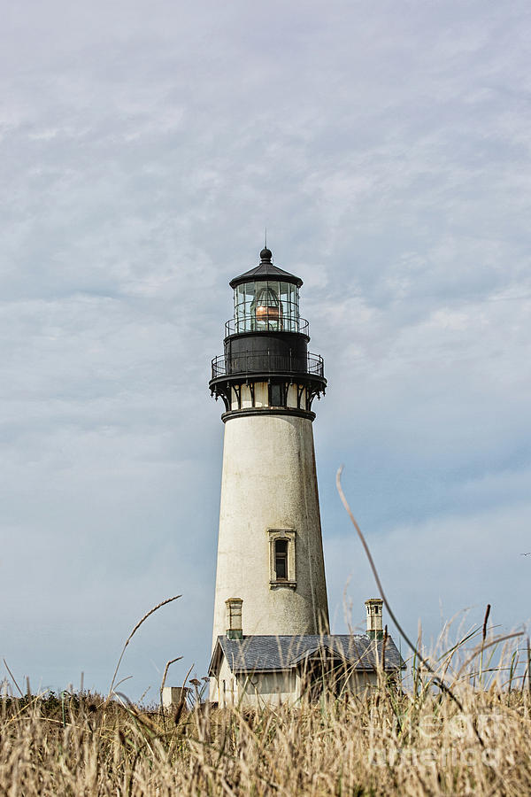 Yaquina Head Lighthouse Oregon Coast Photograph by Scott Pellegrin