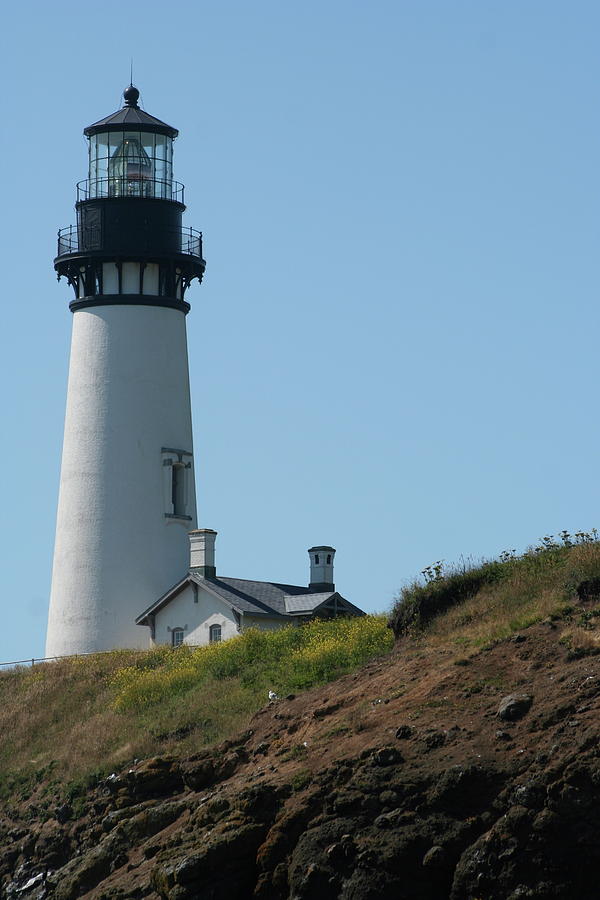 Yaquina Lighthouse Photograph by Laddie Halupa
