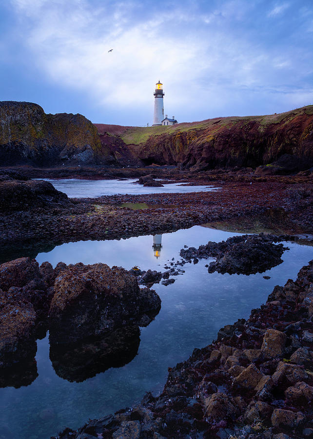 Lighthouse Photograph - Yaquina Reflection by BJ Stockton