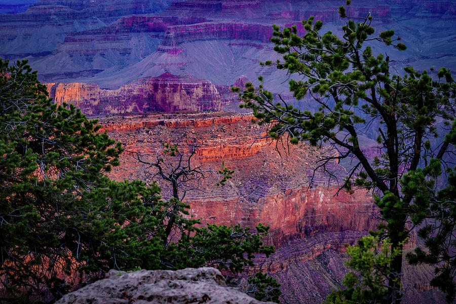 Yavapai Point - Grand Canyon Arizona Photograph by Jon Berghoff - Fine 