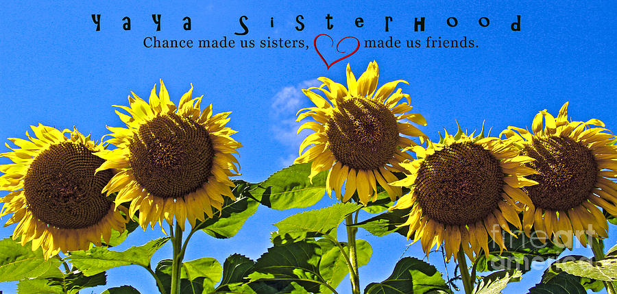 YaYa Sisterhood Photograph by Brenda Giasson
