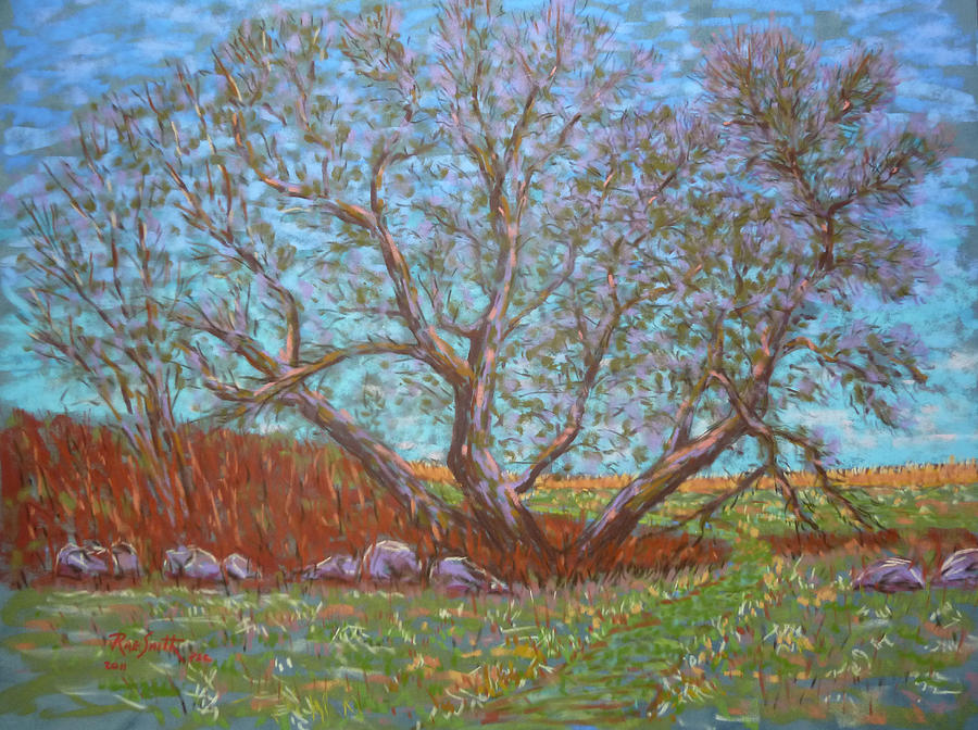 Ye Old Apple Tree in Early Spring Pastel by Rae  Smith PSC