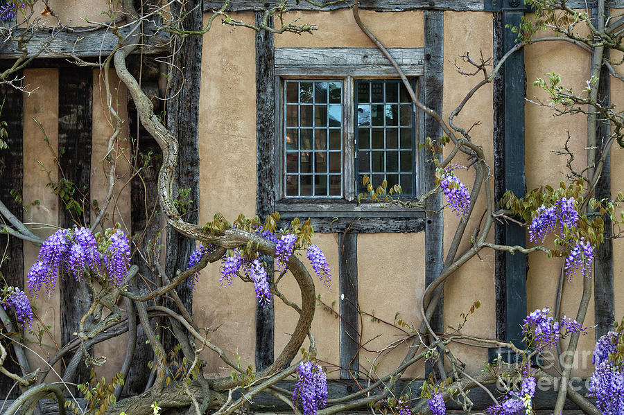 Ye Olde Window Photograph by Tim Gainey