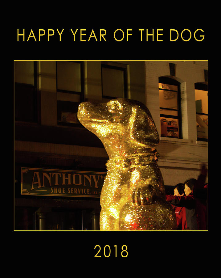 Year of the Dog Photograph by Bonnie Follett