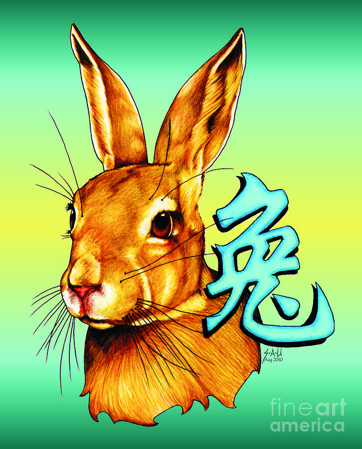 Year of the Rabbit Drawing by Sheryl Unwin