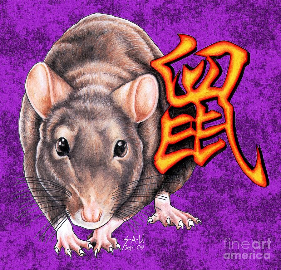 Year of the Rat Drawing by Sheryl Unwin