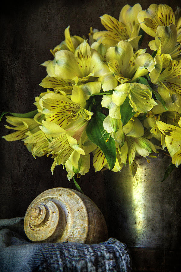 Yellow Alstroemeria Still Life Photograph by Cindi Ressler