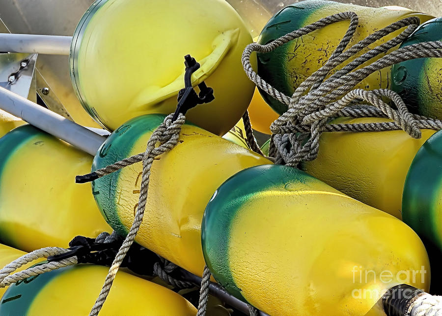 Yellow and Green Buoys Photograph by Janice Drew