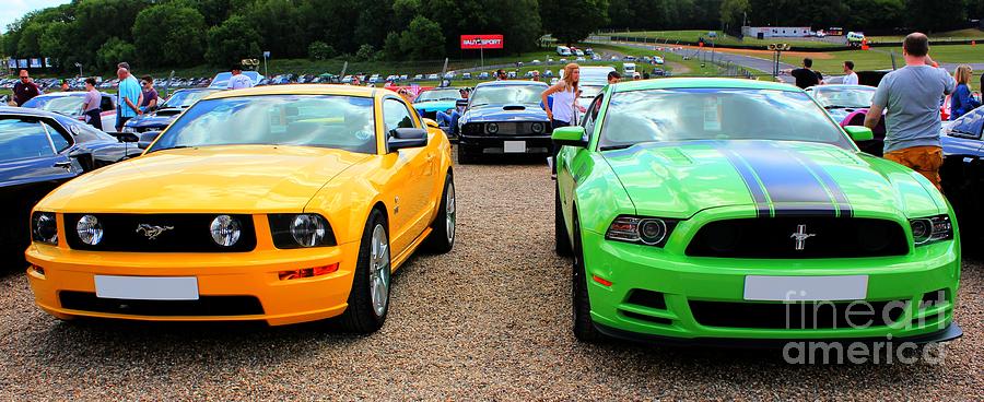 Yellow and Green Mustangs Photograph by Vicki Spindler