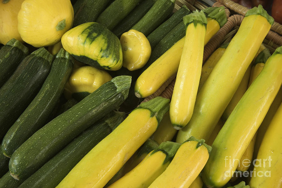 Yellow And Green Zucchini Photograph by Inga Spence
