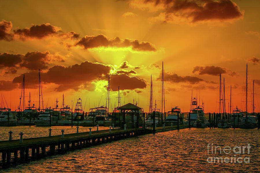 Yellow and Orange Rays Photograph by Tom Claud
