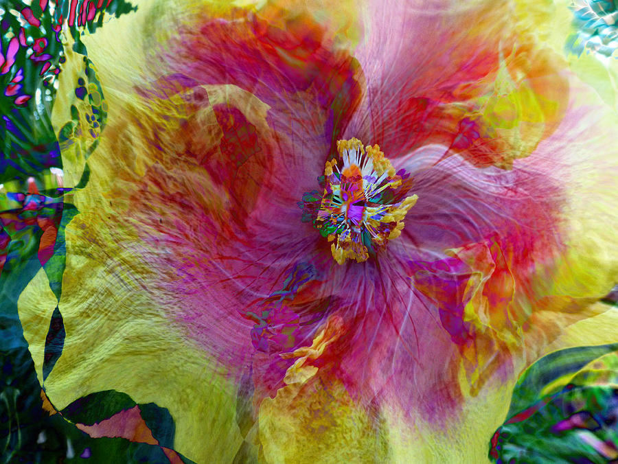 Yellow and Pink Hibiscus Abstract Photograph by Lori Seaman
