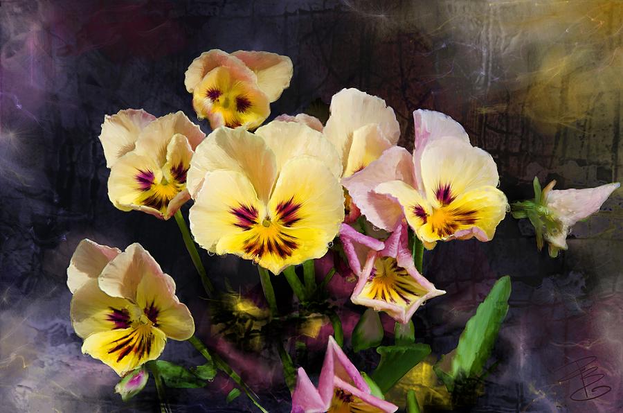 Yellow and Pink Pansies Digital Art by Debra Baldwin