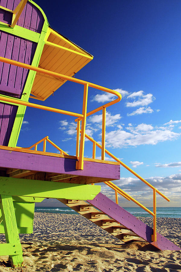 Yellow and Purple at the Beach Photograph by James Kirkikis